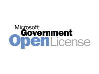 MS-LIZ OPENValue-GOV Windows Server CAL User
